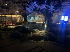 -蓝鲸湾汤泉(包河店)