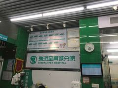 -瑞派动物医院·猫专科·至诚(江南中分院)