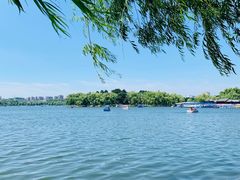 -长春市南湖公园