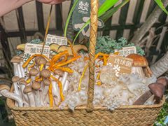 -大龙燚·旷野鲜火锅(广州首店)
