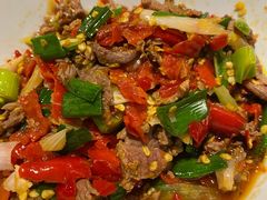 泡辣椒炒牛肉-壹盏灯(惠农店)