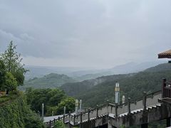 -铁山坪森林公园