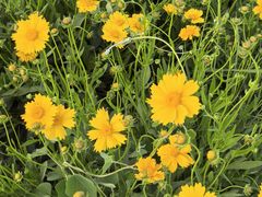 -汉长安城未央宫国家考古遗址公园