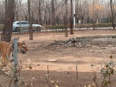 -秦皇岛野生动物园