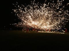 -武清南湖绿博园