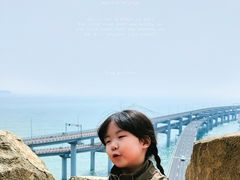 -星海湾跨海大桥