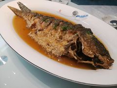 -豫丰汇河南名菜楼(武记餐饮)