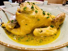 清蒸散养草鸡-海江5号