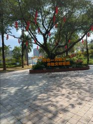 -深圳市儿童乐园