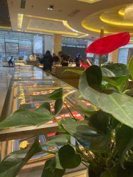 -中国黄金(北京旗舰店)