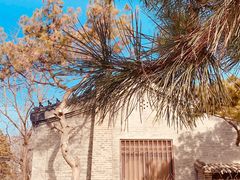 -爱新觉罗皇家博物院