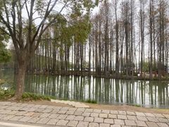 -合肥野生动物园