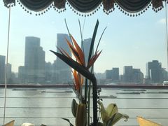 -诺莱仕游艇会