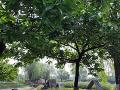 -国际非物质文化遗产博览园