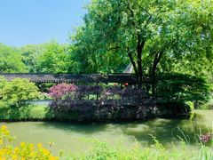 -上海醉白池公园