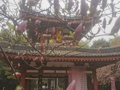 -大唐博相府酒店·陕西官府菜