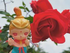 -莲花池公园
