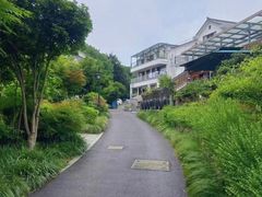 -杭州黄龙洞