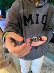 -酷嗒动物文化乐园(cutezoo西溪乐天城店)