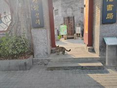 -正阳书局(西四南大街店)