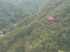 -栾川竹海野生动物园