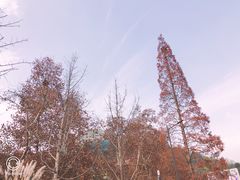 -息烽温泉
