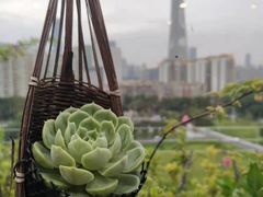 -小茶闲舍·观景商务茶馆(广州塔店)