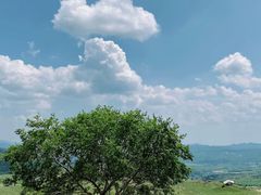 -草原天路(张北县)