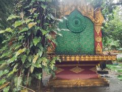 -瑞丽独树成林风景区