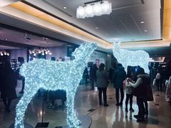 -太平洋中心(CF Pacific Centre)