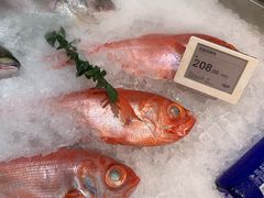 -T11生鲜超市(朝阳公园店)