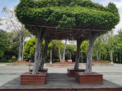 -厦门园林博览苑