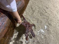 -长沙海底世界