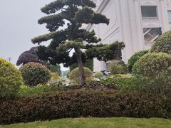 -上海交通大学（闵行校区）-李政道图书馆