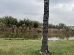 -湖泉半山温泉