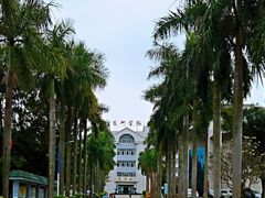 -湛江艺术学校