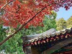 -北京颐和宾馆