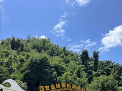 -西双版纳原始森林公园