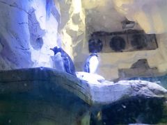 -华夏文旅西安度假区