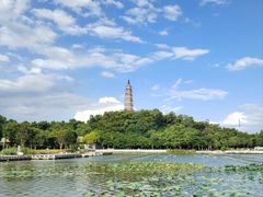 -顺峰山公园