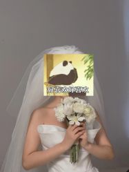 -金夫人婚纱摄影(总店)