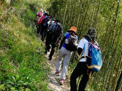 -东天目山风景区