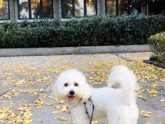 -两江幸福广场