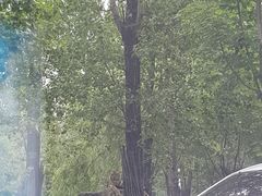 -秦皇岛野生动物园