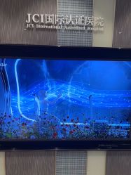 -Yestar宁波艺星整形医院