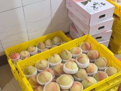 -老袁家蜜桃农场·阳山水蜜桃