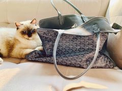 -Goyard 高雅德(国贸商城店)