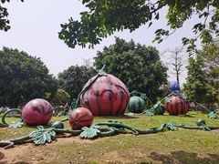 -琅岐红光湖公园