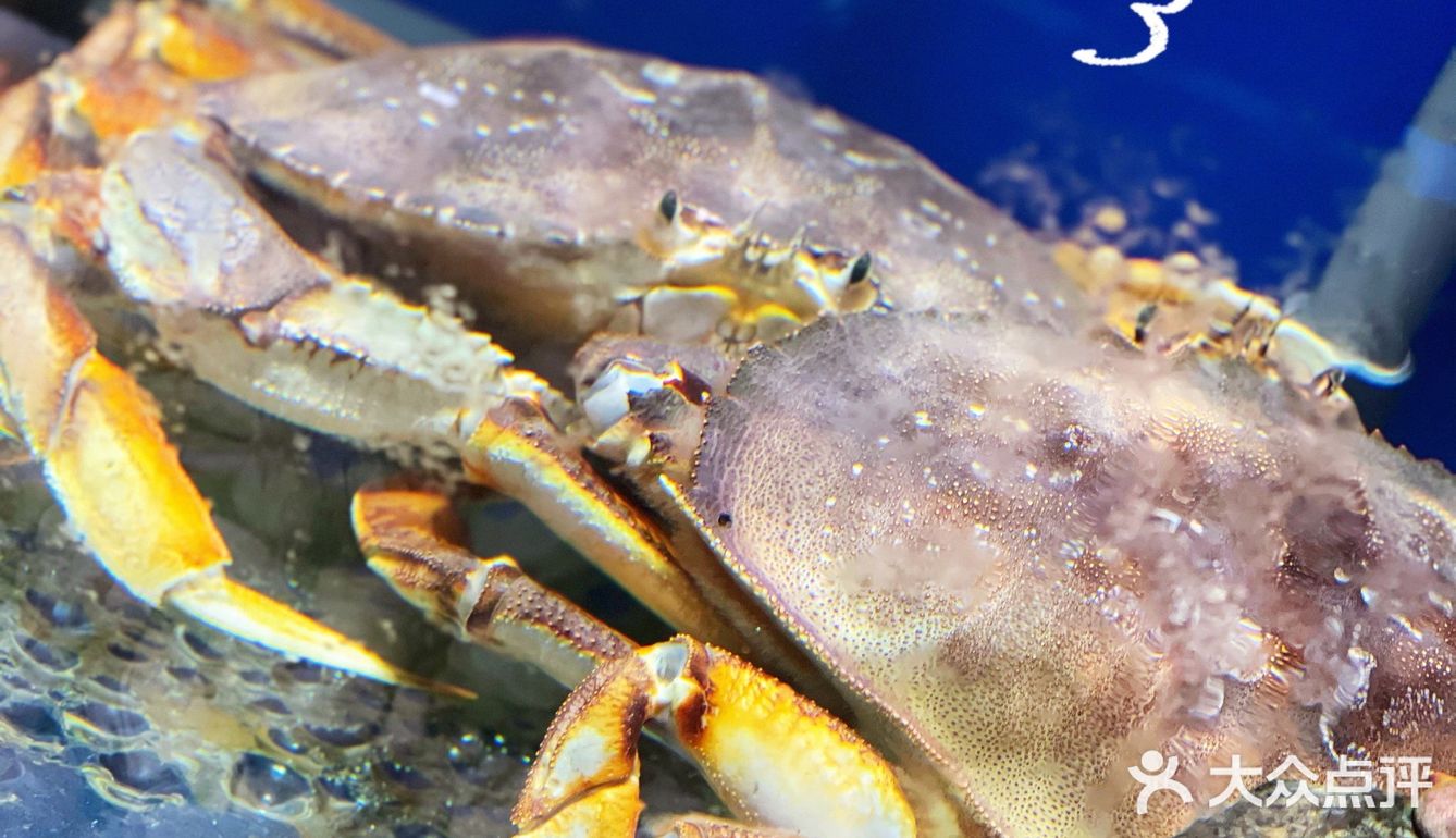 海鲜香不怕巷子深🦪🍤🐟🐚