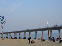 -演武大桥观景平台